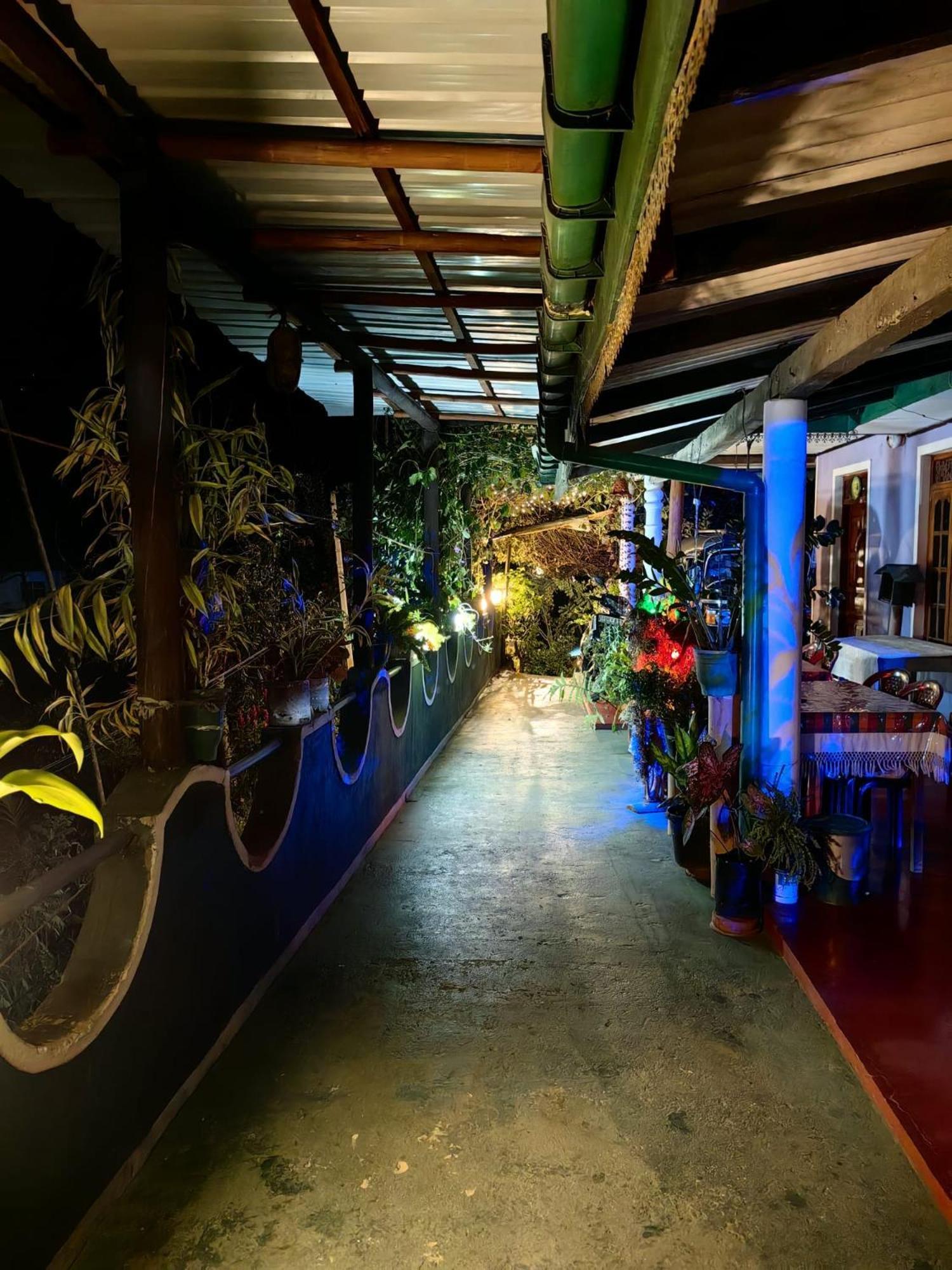 Cozy Homestay Waterfall Road Procida Dış mekan fotoğraf