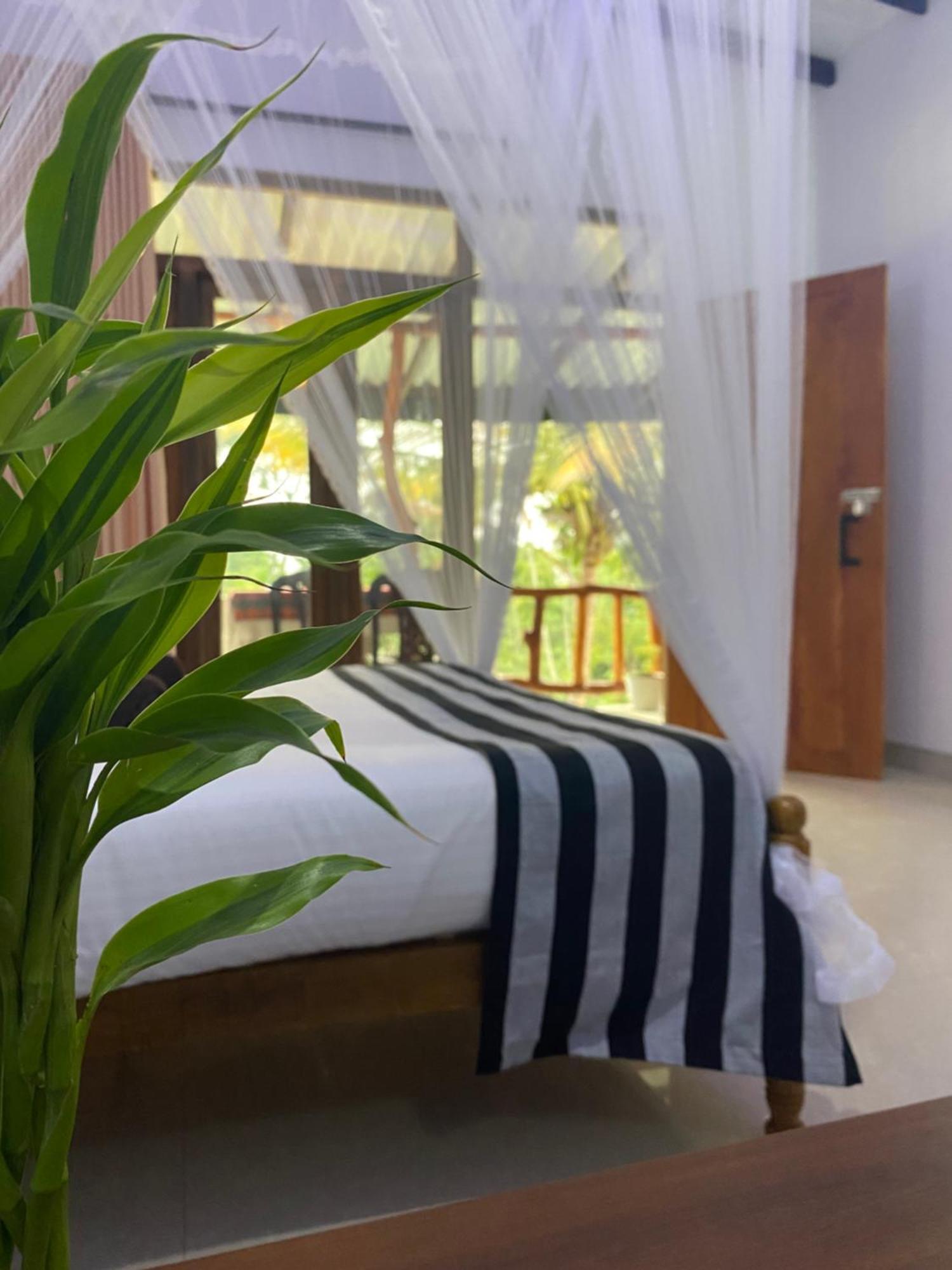 Cozy Homestay Waterfall Road Procida Dış mekan fotoğraf