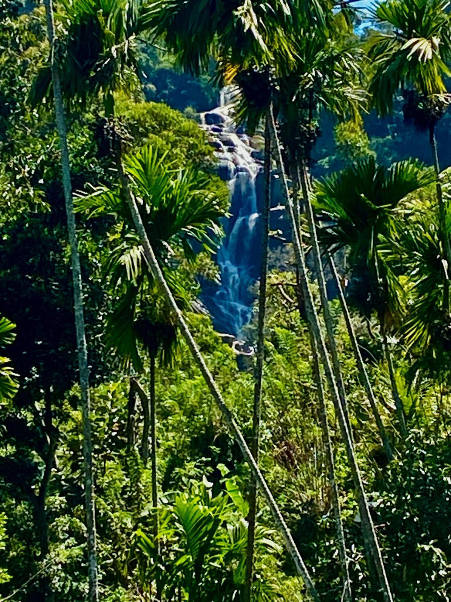 Cozy Homestay Waterfall Road Procida Dış mekan fotoğraf